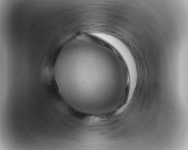 X0000088380180200706051106