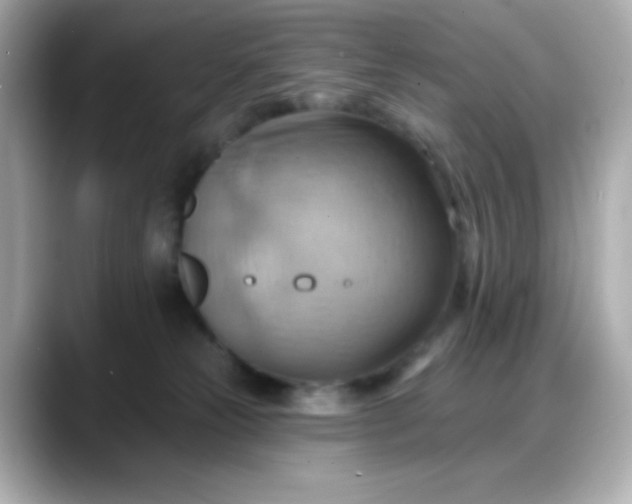 X0000088380181200706051106