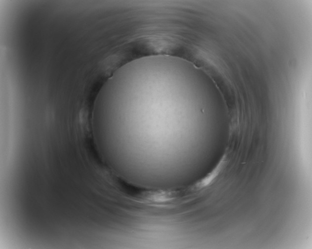 X0000088380182200706051106