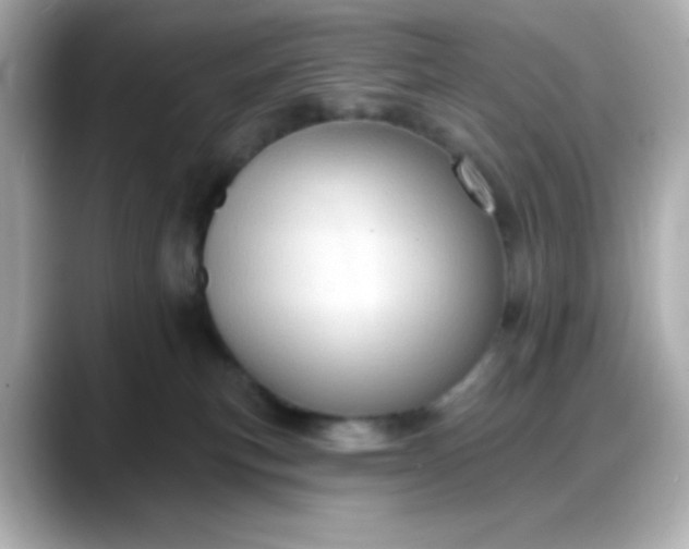 X0000088380183200706051106