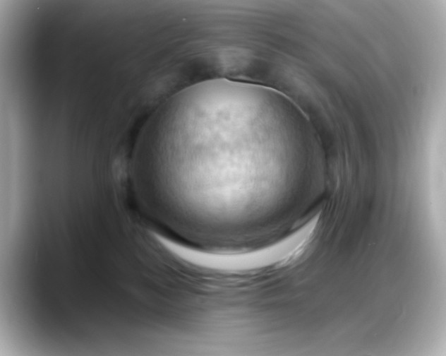 X0000088380184200706051106