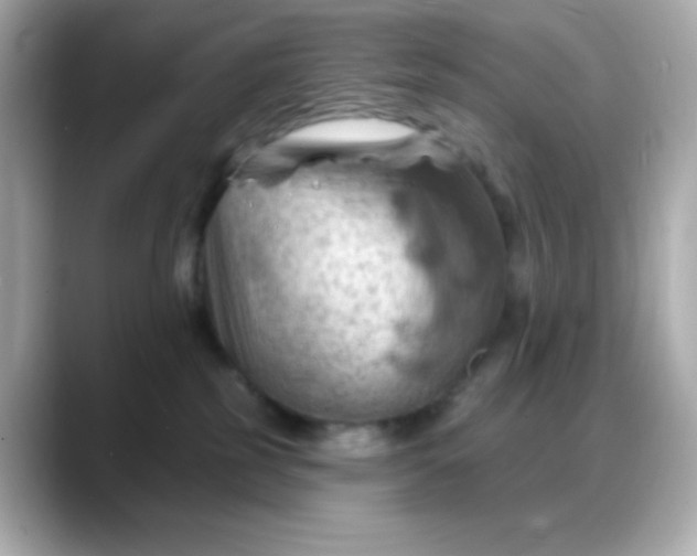 X0000088380185200706051106