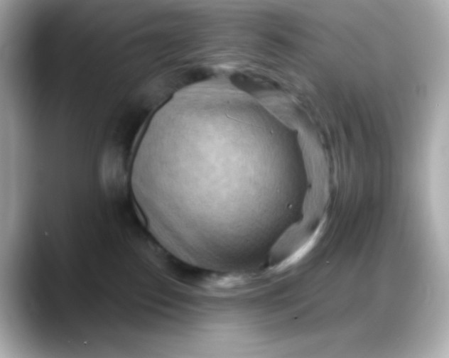 X0000088380186200706051106