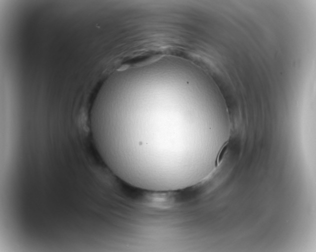 X0000088380187200706051106