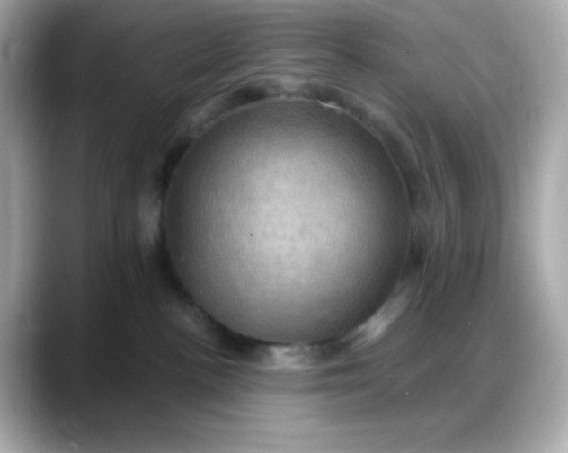 X0000088380188200706051106