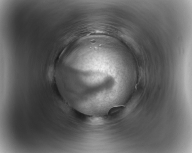 X0000088380189200706051106