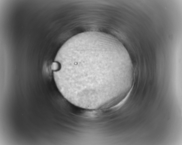 X0000088380190200706051106