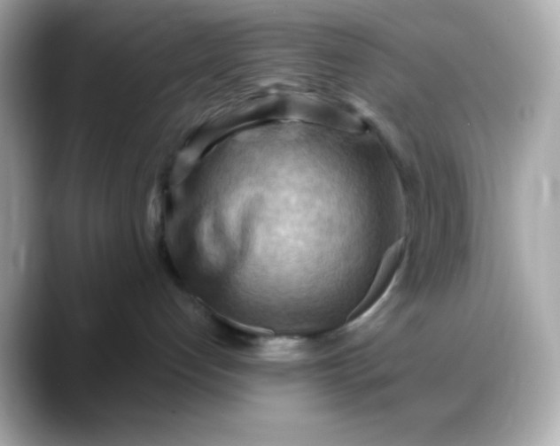 X0000088380192200706051106