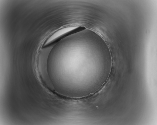 X0000088380193200706051105