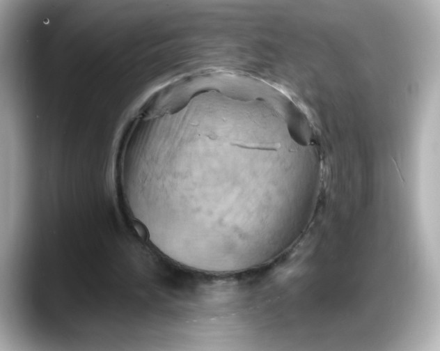 X0000088380196200706051105