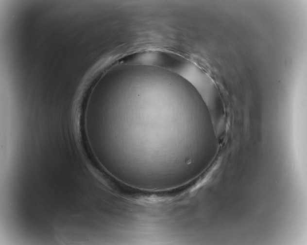 X0000088380197200706051105