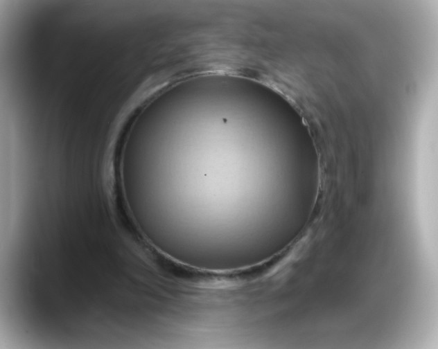 X0000088380198200706051105