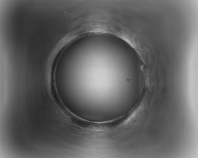 X0000088380199200706051105