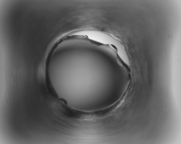 X0000088380200200706051105