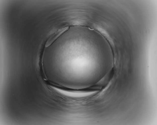 X0000088380201200706051105