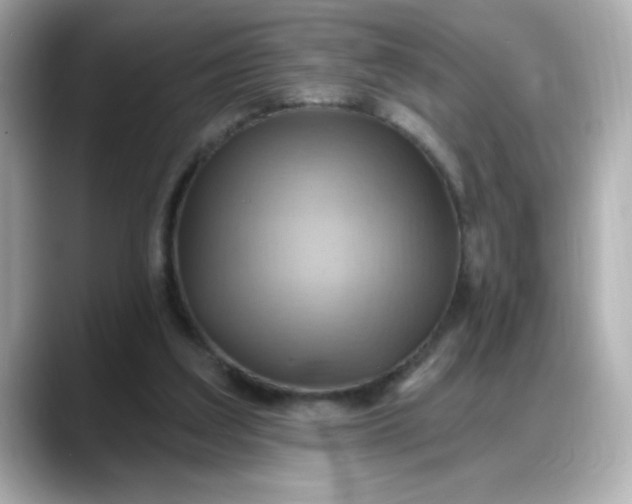 X0000088380203200706051105