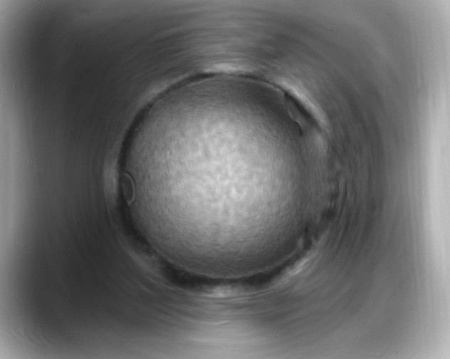 X0000088380204200706051105