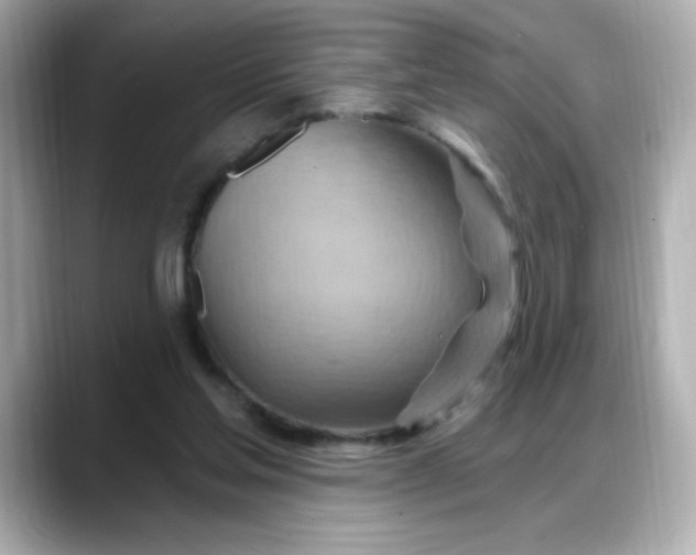 X0000088380205200706051105
