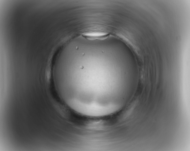 X0000088380206200706051105