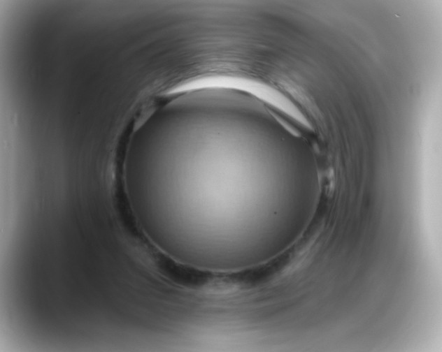 X0000088380207200706051105