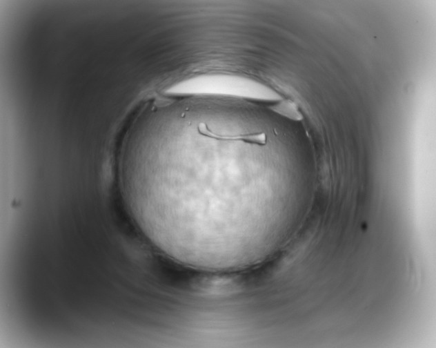 X0000088380208200706051105