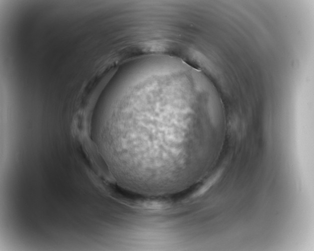 X0000088380209200706051105