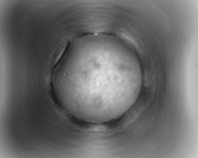 X0000088380210200706051105