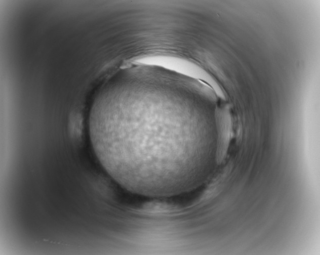 X0000088380211200706051105