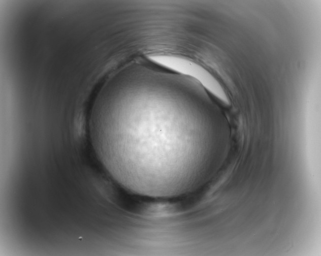 X0000088380212200706051105