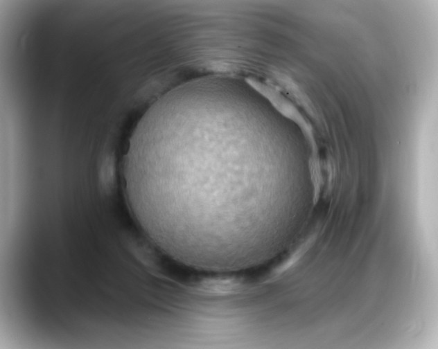 X0000088380213200706051105