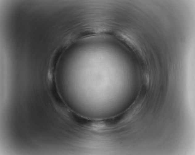 X0000088380214200706051105