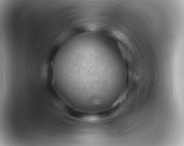 X0000088380217200706051105