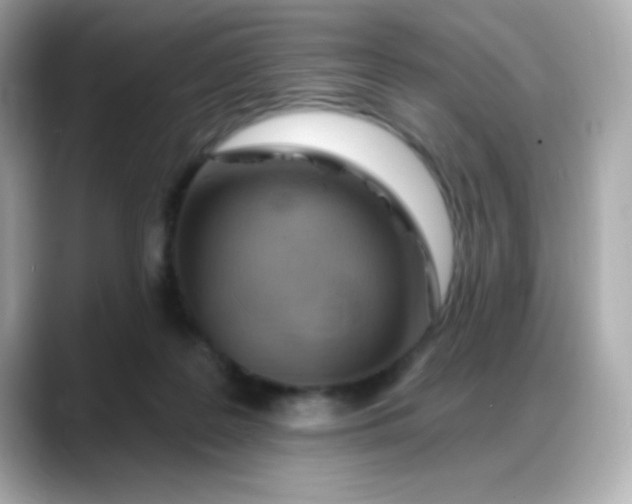 X0000088380219200706051105