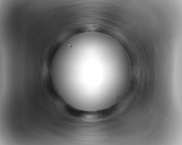 X0000088380220200706051105