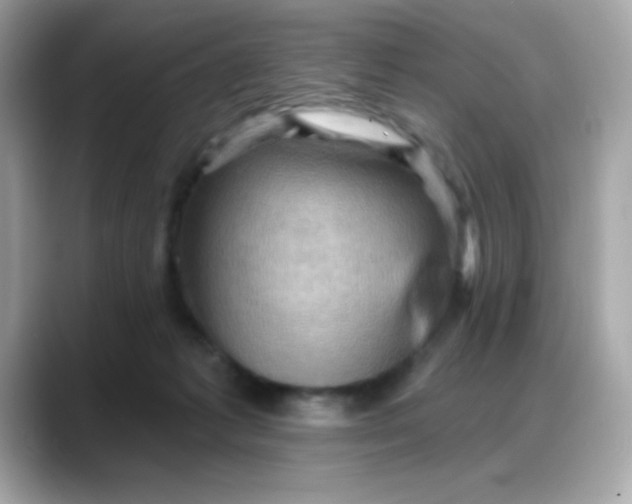 X0000088380221200706051105