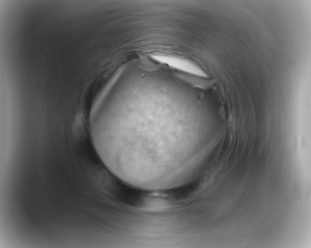 X0000088380222200706051105