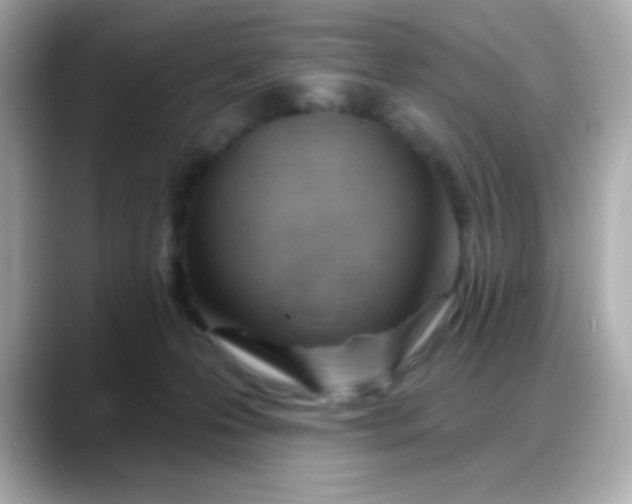 X0000088380223200706051105