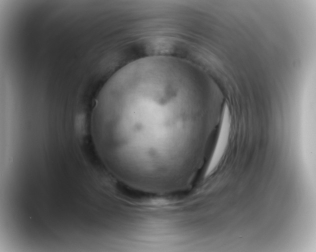 X0000088380224200706051105