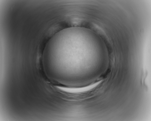 X0000088380225200706051105