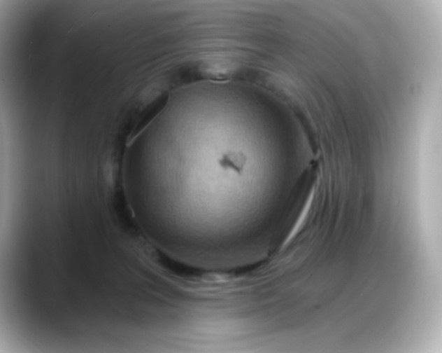 X0000088380227200706051105