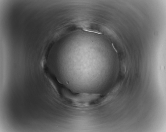 X0000088380229200706051105