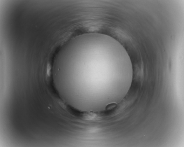 X0000088380230200706051105