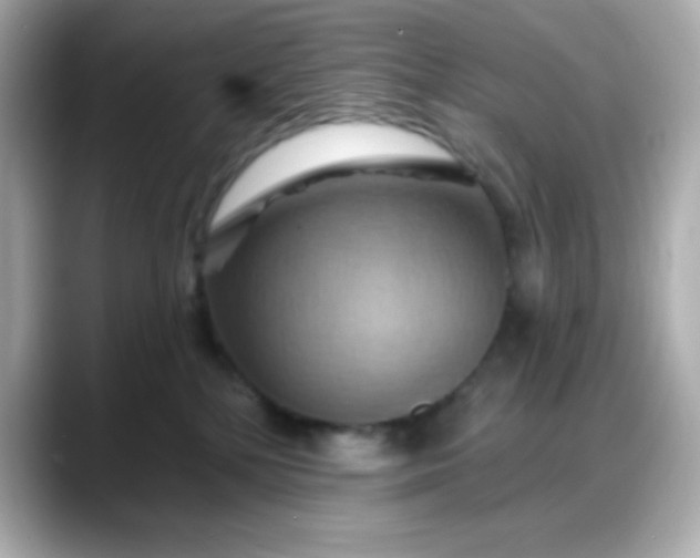 X0000088380232200706051105