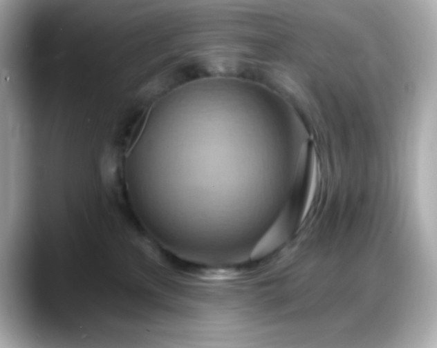 X0000088380233200706051105