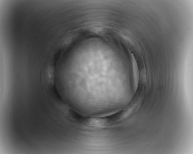 X0000088380234200706051105
