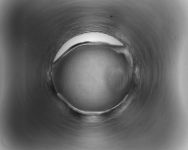 X0000088380237200706051105