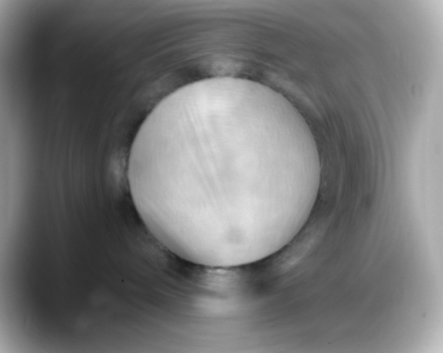 X0000088380240200706051105