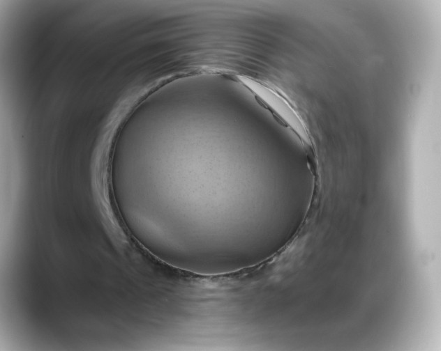 X0000088380241200706051104
