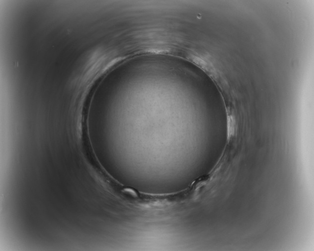 X0000088380243200706051104