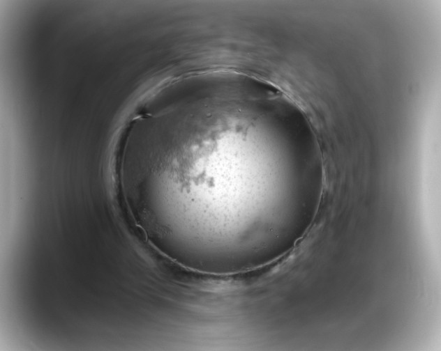 X0000088380245200706051104